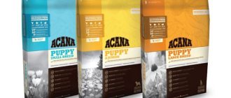 Acana for puppies - full review of food