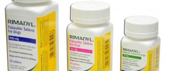 pain reliever Rimadyl for dogs