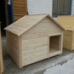 Kennel for Husky and Alabai: determining the location and size
