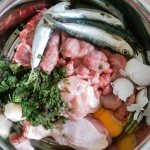 What to feed your dog at home: natural food diet and weekly menu