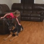 Girl petting a dog