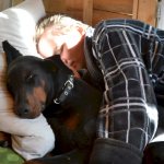 Doberman sleeps with owner