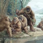 древние обезьяны гиганты