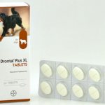 Drontal for dogs