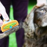 Furminator for dogs