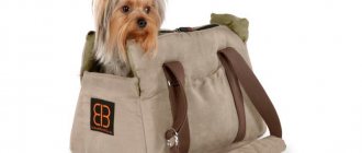 How to make a carrier bag for a dog: 5 step-by-step master classes with patterns