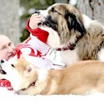 What kind of dog does Putin have?