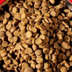 Classification of dry food