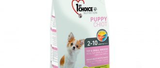 1st Choice Puppy food for miniature and small breeds
