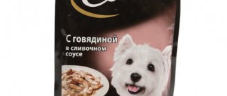 Caesar food for dogs