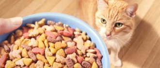 Darling cat food reviews from veterinarians