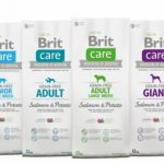 Dog food Brit Care