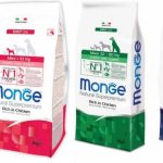 Dog food Monge – which is better to choose dry or wet food for different animals?