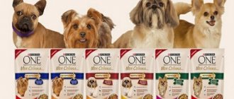 Dog food Purina One reviews from veterinarians