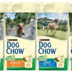 Dog Chow food for dogs - reviews and advice from veterinarians