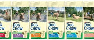 Корм Дог Чау для собак (Dog Chow) - отзывы и советы ветеринаров