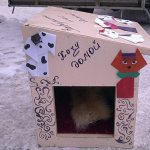 Beautiful do-it-yourself dog houses for an apartment: 6 detailed master classes