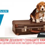 международная перевозка животных, правила международной перевозки животных, международный сертификат для перевозки животного