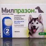 Milprazone for dogs: instructions for use, dosage and contraindications, drug analogues