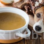 Meat broth for dogs