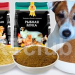 Meat and bone meal for dogs: benefit or harm