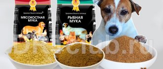 Meat and bone meal for dogs: benefit or harm