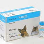 Nobivak Rabies: instructions for use of rabies vaccine for cats and dogs