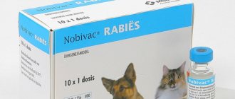 Nobivak Rabies: instructions for use of rabies vaccine for cats and dogs