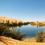 Oasis of Umm al-maa (translated as “Mother of Water”). Sahara Desert 
