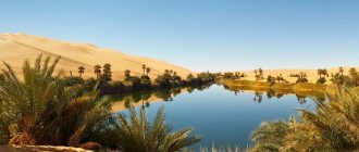Oasis of Umm al-maa (translated as “Mother of Water”). Sahara Desert 