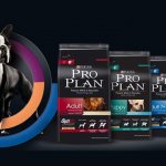 Reviews of Pro Plan food for dogs