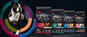 Reviews of Pro Plan food for dogs