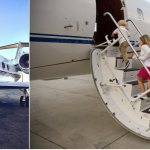 flying with a pet on a private jet