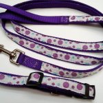 DIY paracord dog leash with photos and videos