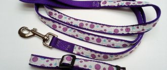 DIY paracord dog leash with photos and videos
