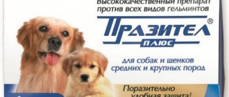 prazitel tablets for dogs and puppies