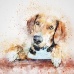 Red dog drawn sad photo