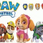 paw patrol what are the names of the puppies photo