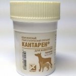 Symptoms of Cantaren for dogs