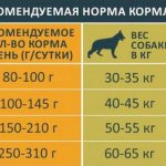 how much dry food to give a dog per day