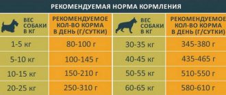 how much dry food to give a dog per day