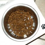 Dog dry food in a bowl