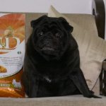 Ingredients and review of Farmina dog food