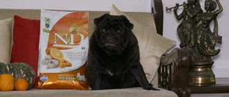 Ingredients and review of Farmina dog food