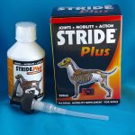 Stride plus for dogs: instructions for use, dosage and side effects, price and analogues