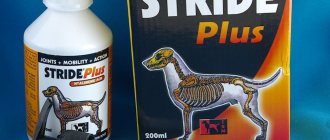Stride plus for dogs: instructions for use, dosage and side effects, price and analogues