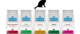 сухой корм для кошек фармина отзывы ветеринарров