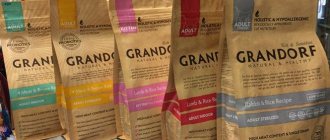 dry food grandorf for cats