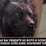 pitbull tattoo meaning