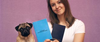 veterinary passport for a dog